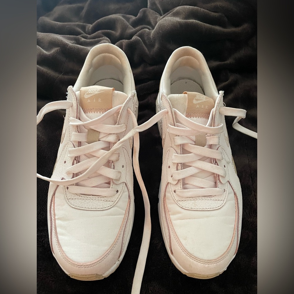Nike Max Air